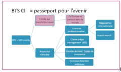 Galerie photo Que faire après le BTS CI ?